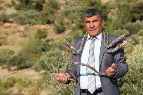 ŞEVKET KOZALAK